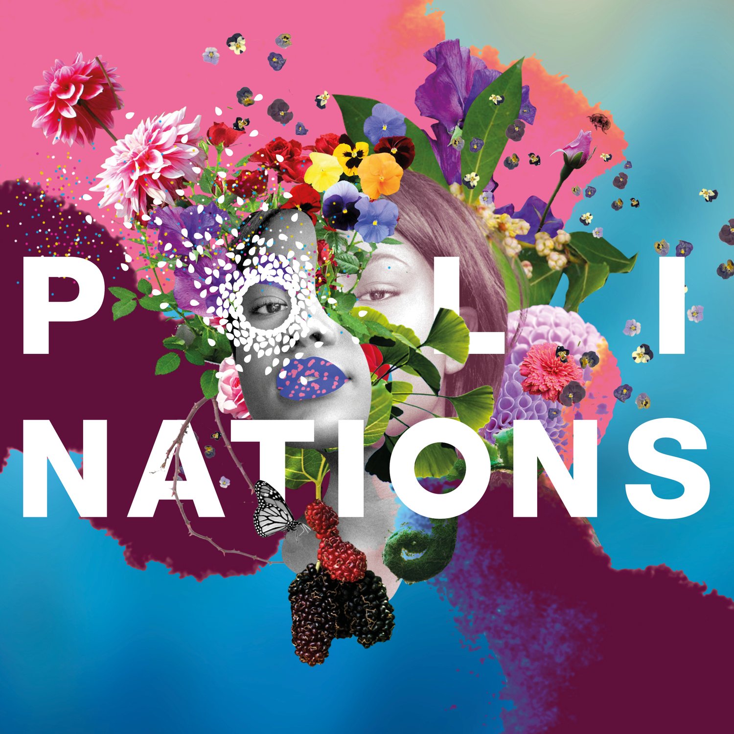 PoliNations